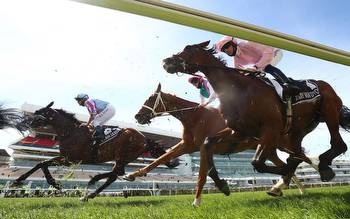 Melbourne Cup odds and predictions: Persan to be standout surprise