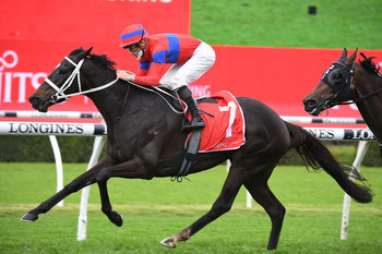 Melbourne Cup Pedigree Clues to Find the Winner