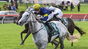 Melbourne Cup plan taking shape for White Marlin