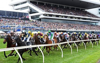 Melbourne Cup prize money: How much will winner earn?