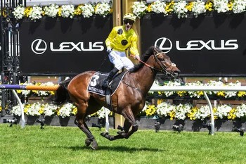 Melbourne Cup Results 2023 As Bookies Save Millions On Vauban
