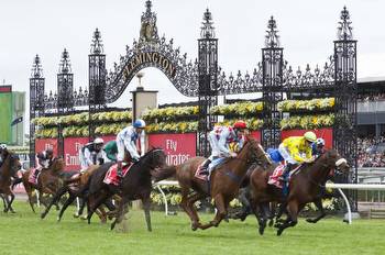 Melbourne Cup: The Numbers Behind 'The Race That Stops a Nation