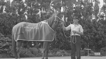 Melbourne Cup: The remarkable story of 1983 winner Kiwi and New Zealand’s greatest triumph