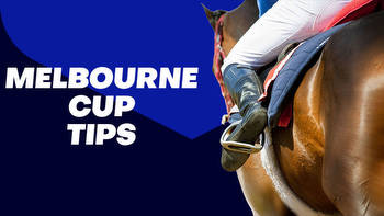 Melbourne Cup Tips 2023: History To Down Vauban And Hand Doyle Flemington Success