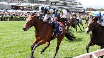 Melbourne Cup Week tips: Five horses at juicy odds