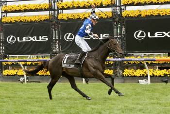 Melbourne Cup winner going for Gold in Tancred Stakes