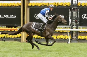 Melbourne Cup winner heads odds in the Ranvet Stakes