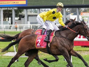 Melbourne Cup winner Without A Fight to miss the autumn carnival
