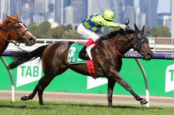 Melbourne filly heads odds in The Roses