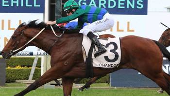 Mick Price believes Jacquinot ticks the right boxes to become an Everest winner