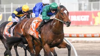 Mick Price has Jacquinot primed for Golden Rose assault