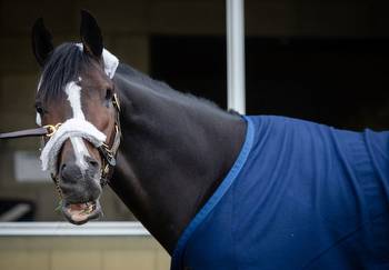Mighty Heart looks to trot away with Canada’s Triple Crown