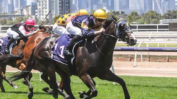 Mike Moroney is confident Snapper can continue his hot form in Australia Stakes