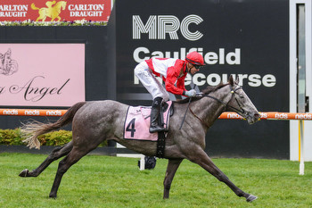 Military Mission bounces back from Melbourne Cup in Zipping Classic