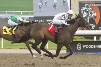 Millie Girl Looks To Make the Grade in G3 Seaway