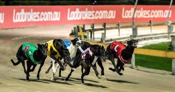 Million Dollar Chase 2022: Date, location, box draw, odds, and broadcast details for world's richest greyhound race