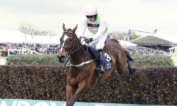 Min and Douvan left in Punchestown Champion Chase