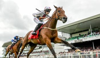 Minella Mate supplies big winner for Tipperary owner/trainer at Galway Races