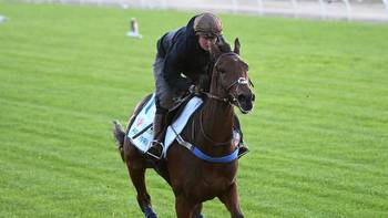 Mini plunge on Melbourne Cup favourite's stablemate