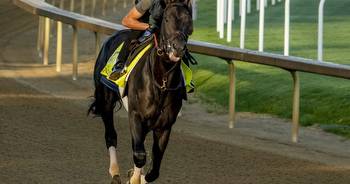 Minnesota-owned Zandon gets respect, set as early Kentucky Derby favorite