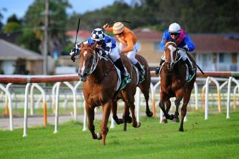 Miss Santorini to claim Camden Haven Cup at Port on Saturday I Australian Rural & Regional News