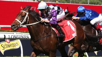 Mitch Cohen's Blackbook: Osipenko ready for The Gong