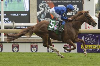 Modern Games makes history, and statement, in BC WAYI Woodbine Mile