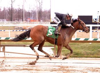 Moody Woman Chasing First Career Stakes Victory in $100K Primonetta