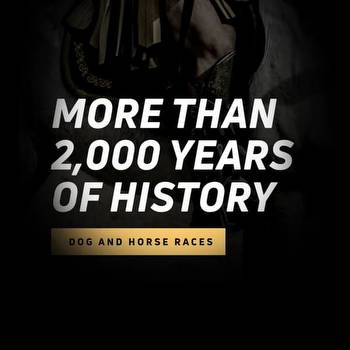 More than 2000 years. Greyhound history