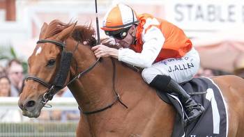 Mornington Cup preview: Vow And Declare among leading chances to win country cup