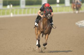 Morstachy’s, a real long shot, is entered in King’s Plate