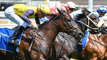 Moruya races: Preview, best bets, tips and inside mail, Sunday racing