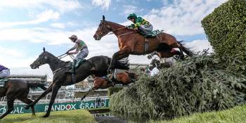MPs are champing at the bit for this year’s Grand National