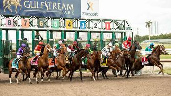 Mr. Ed gives Best Bets for Saturday's Pegasus horse racing card at Gulfstream Park