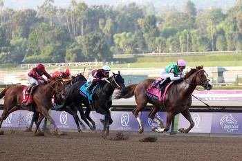 Mr. Ed's Best Bets for Gulfstream on Saturday, February 3