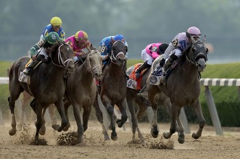 Mr. Ed's Best Bets for Tampa Bay Downs for Saturday, February 10