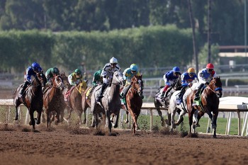 Mr. Ed's Best Bets for Tampa Bay Downs on Saturday, March 9