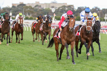 Mr Maestro on song ahead of the Victoria Derby