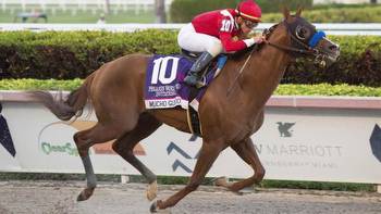 Mucho Gusto Dominant in Pegasus World Cup, Zulu Alpha Upsets Turf