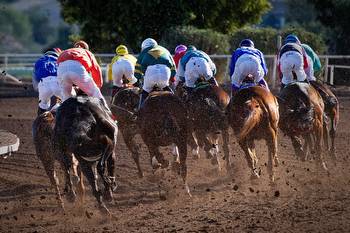 Musselburgh Plays Host to David vs Goliath in Queen of Scots Fillies’ Stakes