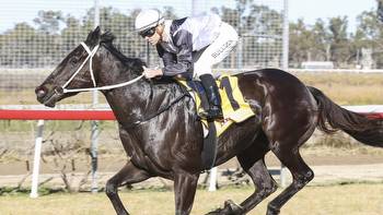 Muswellbrook Sunday tips, best bets, preview, inside mail with Shayne O'Cass