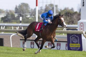 Mysterious Night romps in Summer, Last Call upsets Natalma to earn Breeders’ Cup spots