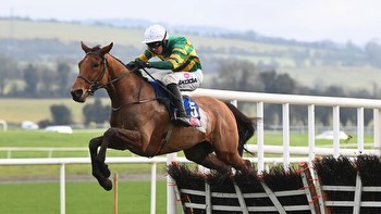 Mystical Power and Spillane’s Tower win at Punchestown