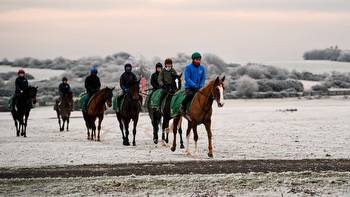 Naas forced to reschedule Thursday card and Fairyhouse currently 'unraceable'