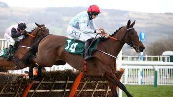 Naas Sunday review: Telmesomethinggirl wins mares beginners chase