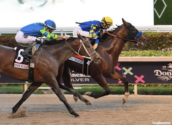 National Treasure Guts Out the Win in G1 Pegasus World Cup