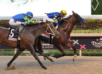 National Treasure Survives Late Scare To Win Pegasus World Cup