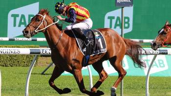 Nature Strip doing right on track for The Everest defence