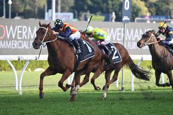 Nature Strip odds on favourite for The Everest