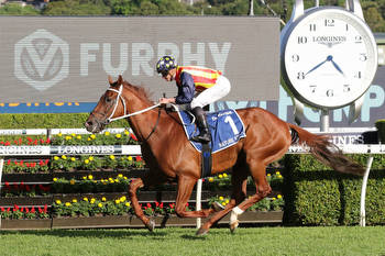 Nature Strip's odds crunched in The Shorts at Randwick